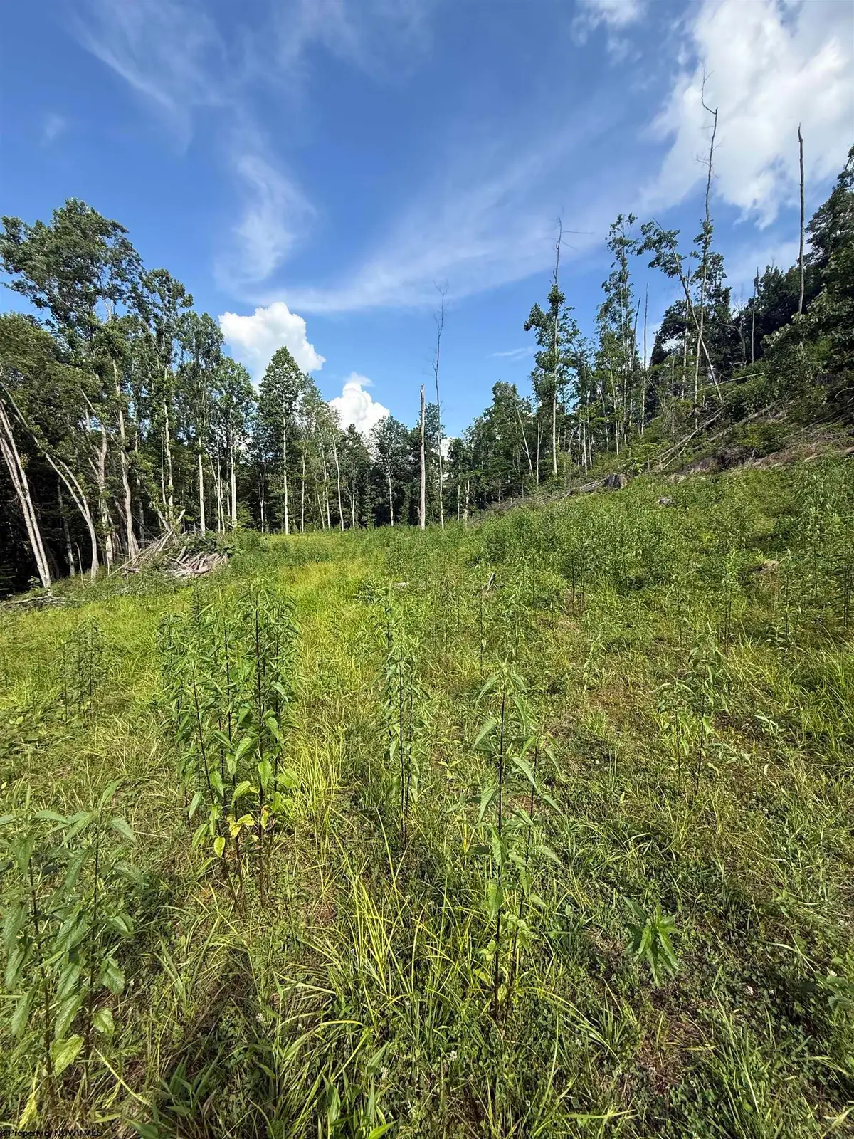 TBD Knights Fork Road, West Union, WV 26456 - #1