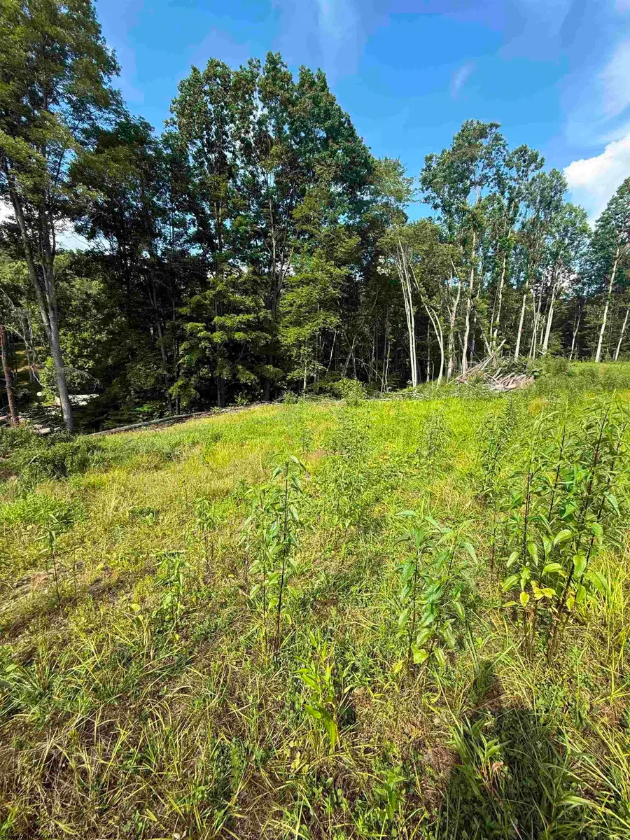 TBD Knights Fork Road, West Union, WV 26456 - #2