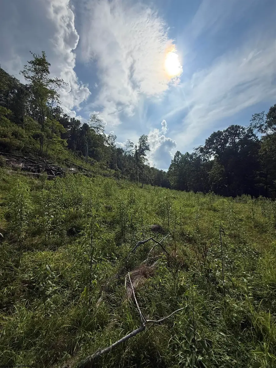 TBD Knights Fork Road, West Union, WV 26456 - #3