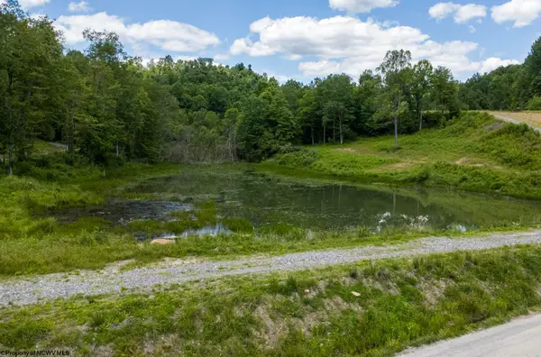 Lot 9 Lake Island Drive, Belington, WV 26250