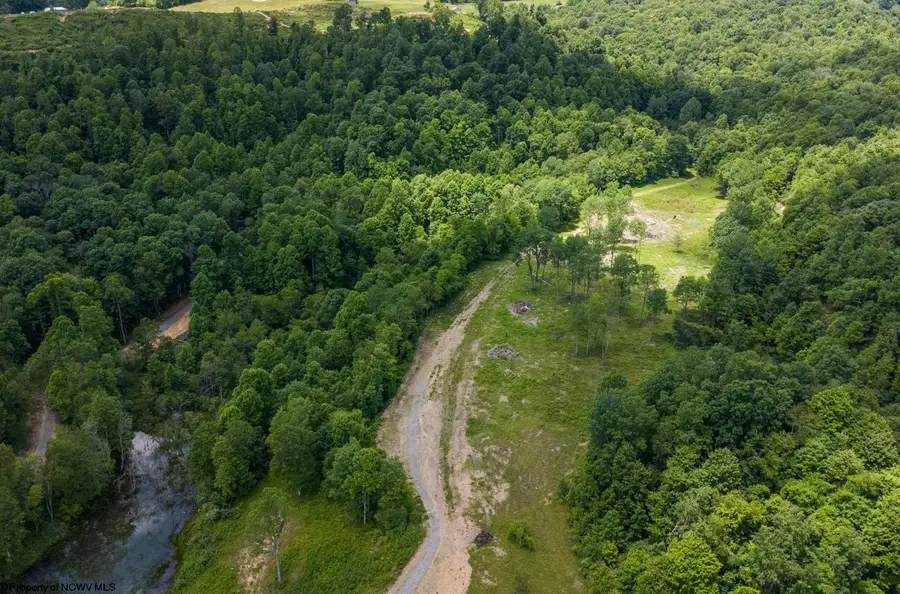 Lot 9 Lake Island Drive, Belington, WV 26250 - #2