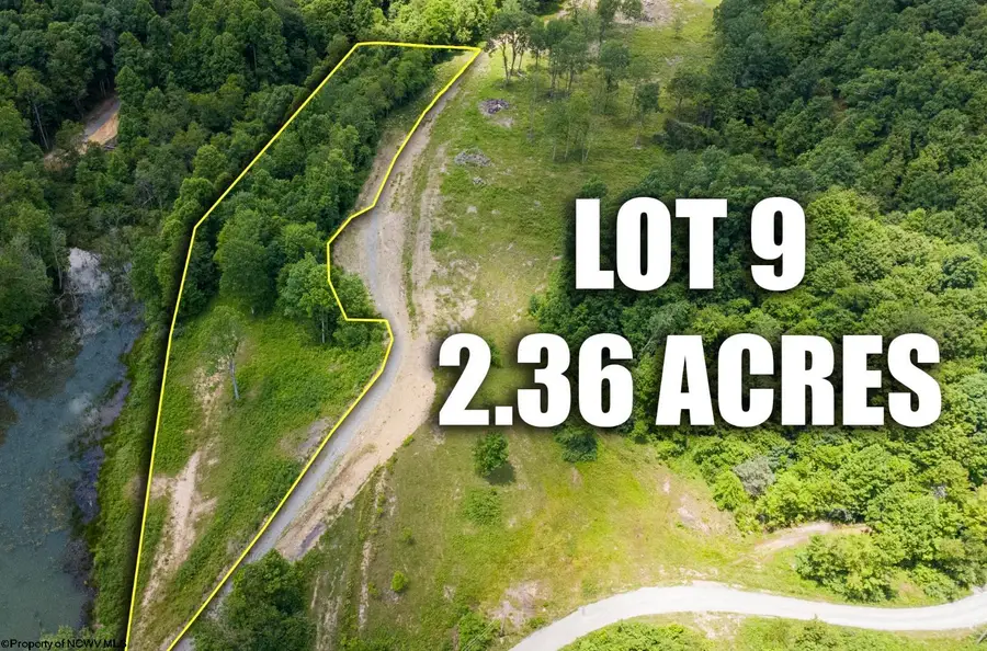 Lot 9 Lake Island Drive, Belington, WV 26250 - #3