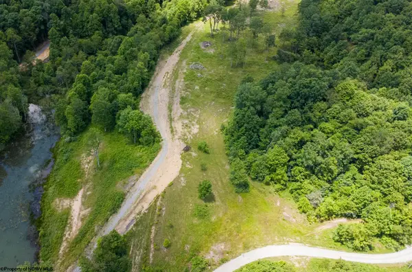 Lot 10 Lake Island Drive, Belington, WV 26250