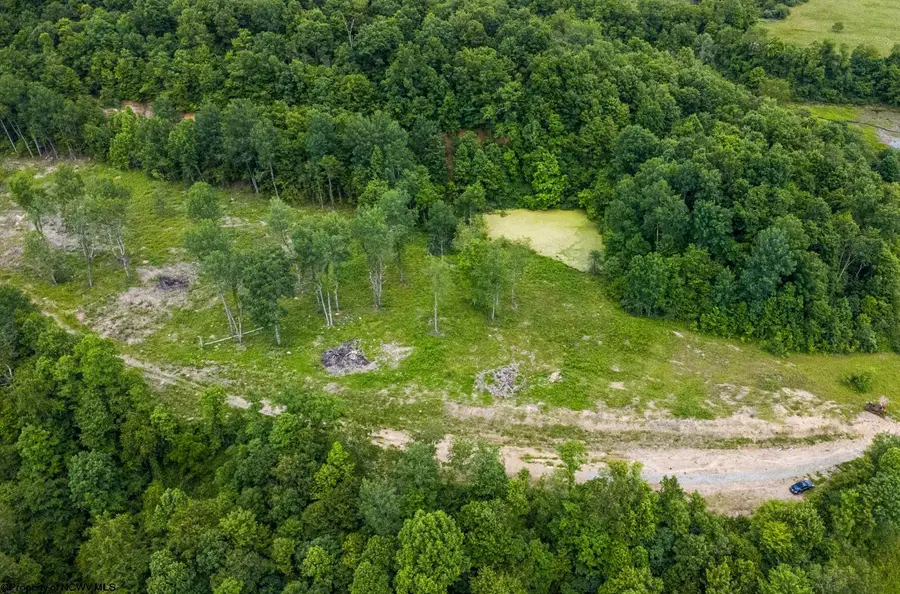Lot 10 Lake Island Drive, Belington, WV 26250 - #3