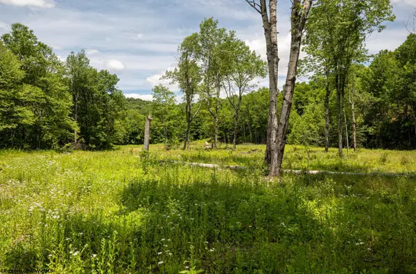 Lot 11 Lake Island Drive, Belington, WV 26250