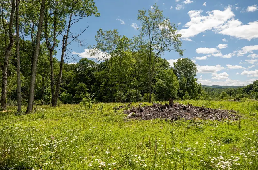 Lot 11 Lake Island Drive, Belington, WV 26250 - #2
