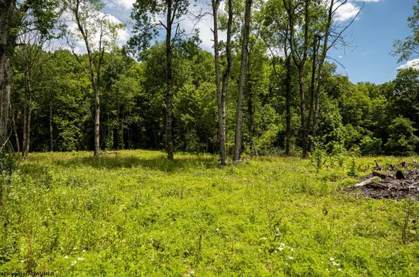 Lot 12 Lake Island Drive, Belington, WV 26250