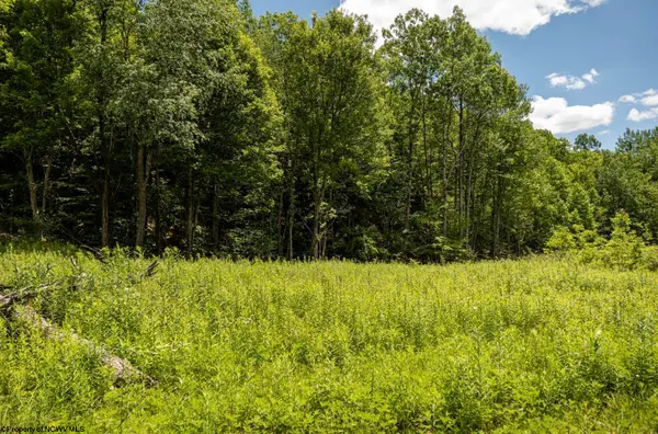 Lot 13 Lake Island Drive, Belington, WV 26250