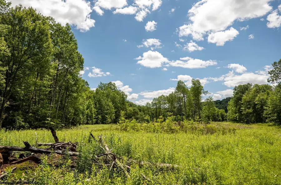 Lot 14 Lake Island Drive, Belington, WV 26250 - #2