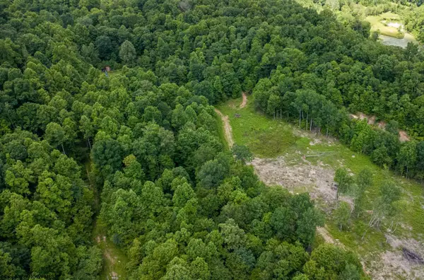 Lot 15 Lake Island Drive, Belington, WV 26250