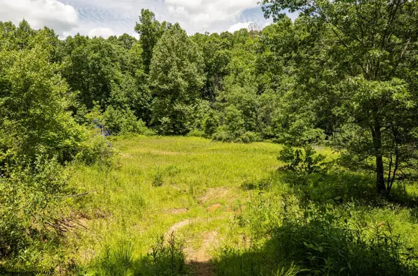 Lot 16 Lake Island Drive, Belington, WV 26250