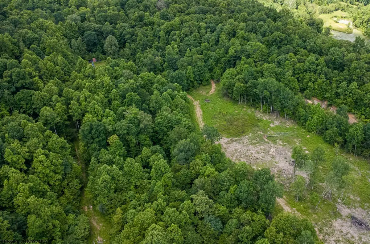Lot 17 Lake Island Drive, Belington, WV 26250 - #1