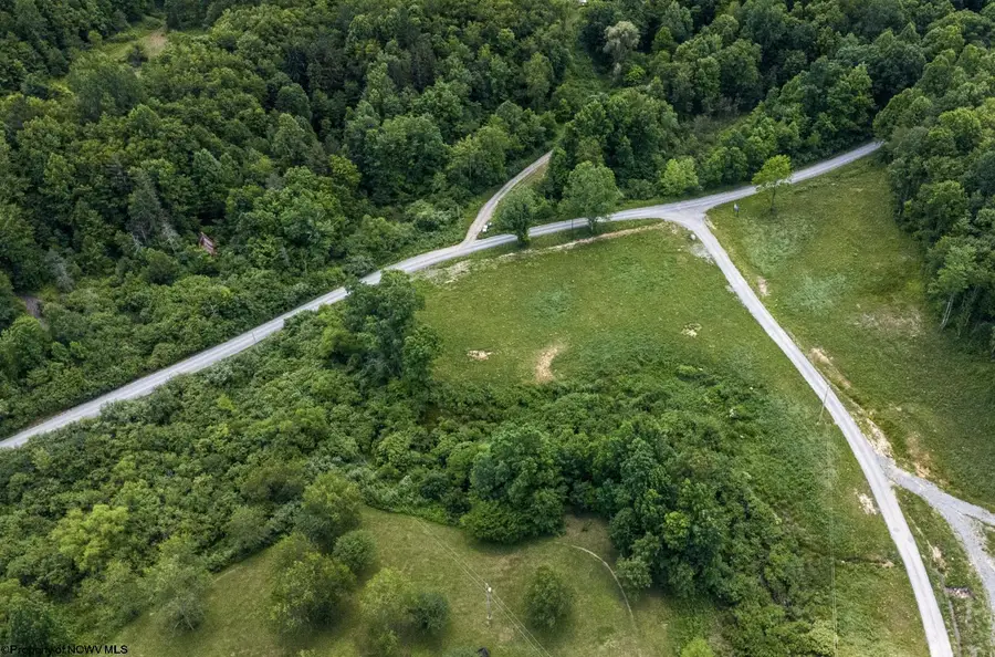 Lot 17 Lake Island Drive, Belington, WV 26250 - #3