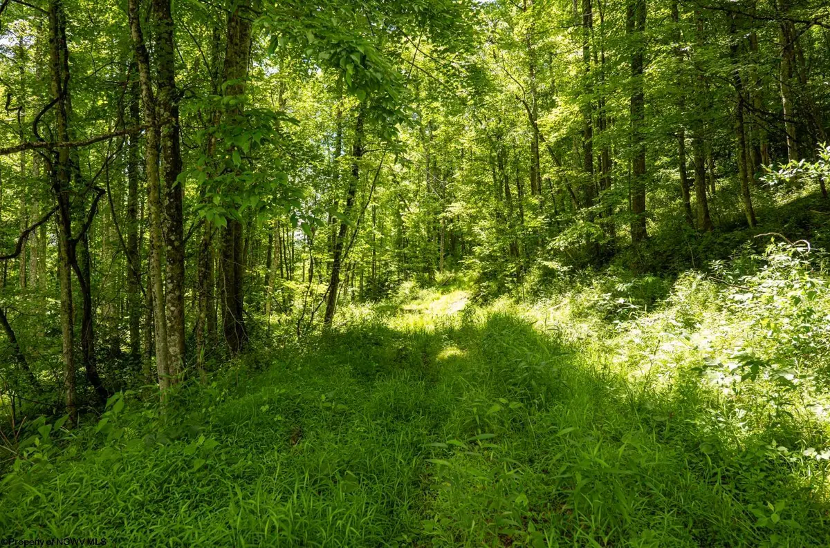 Lot 18 Lake Island Drive, Belington, WV 26250 - #1