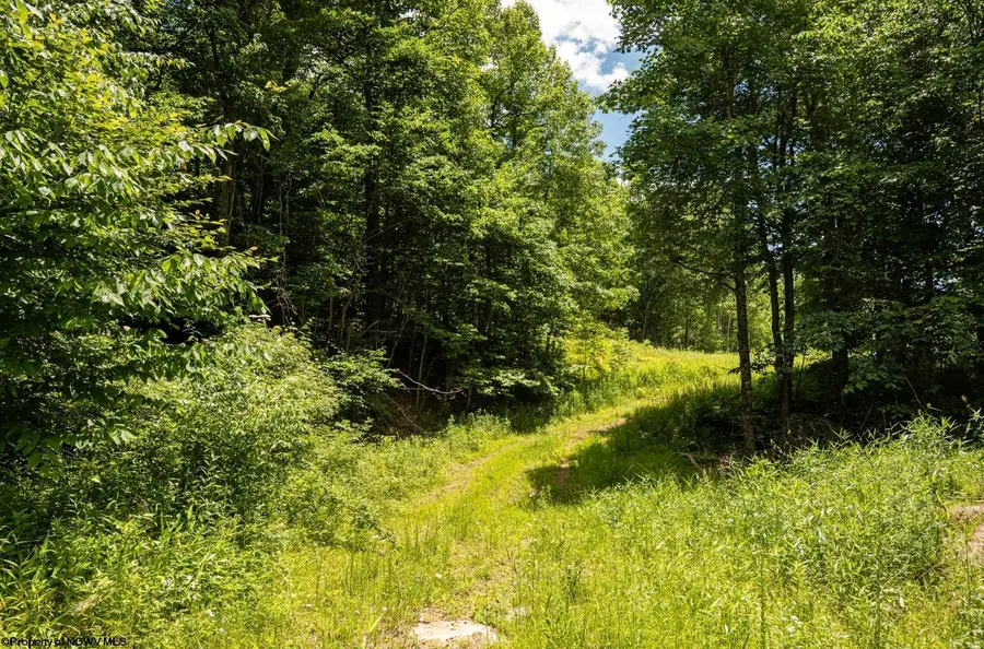 Lot 18 Lake Island Drive, Belington, WV 26250 - #3