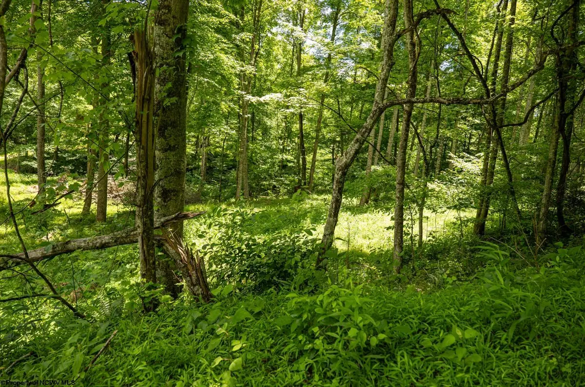 Lot 19 Lake Island Drive, Belington, WV 26250 - #1