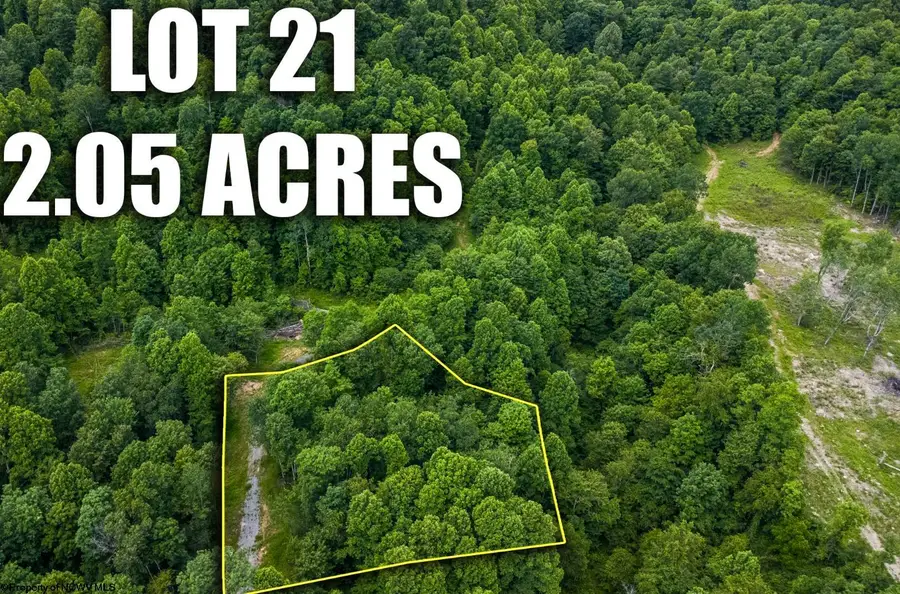 Lot 21 Lake Island Drive, Belington, WV 26250 - #3