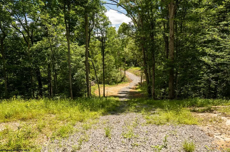 Lot 22 Lake Island Drive, Belington, WV 26250 - #3