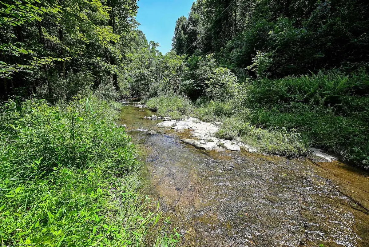 Lot 1 Four States Road, West Augusta, WV 26572 - #1