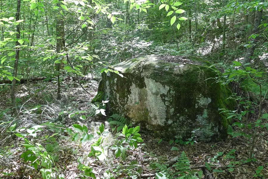 Lot 1 Four States Road, West Augusta, WV 26572 - #3