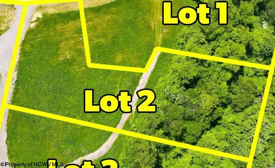 Lot 2 Laurel Run Pisgah Road, Bruceton Mills, WV 26525 - #2