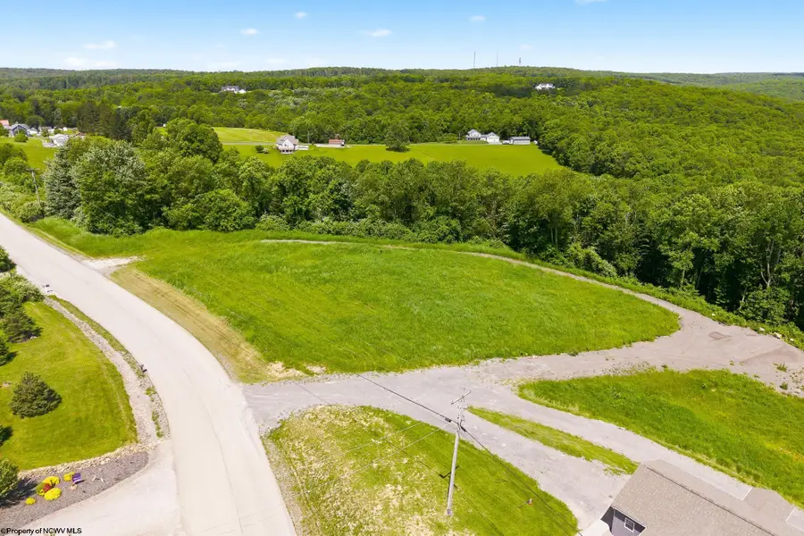 Lot 2 Laurel Run Pisgah Road, Bruceton Mills, WV 26525 - #3