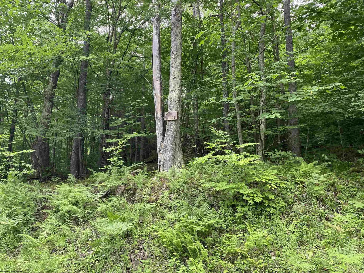 Lot 2 Teakwood Drive, Davis, WV 26260 - #1
