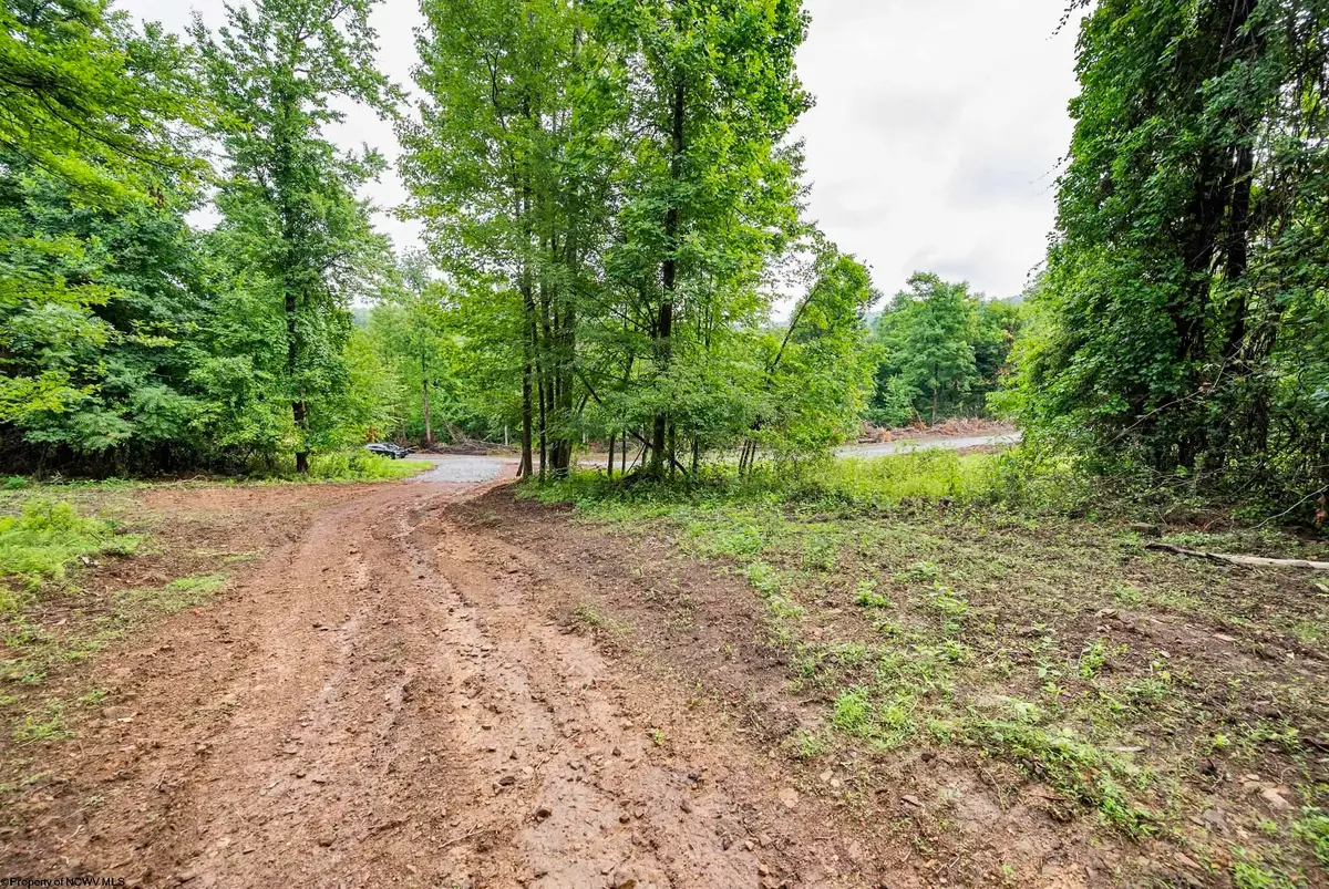 Lot 1 Burnt Cabin Road, Fairmont, WV 26554 - #1