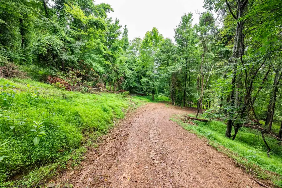Lot 1 Burnt Cabin Road, Fairmont, WV 26554 - #2