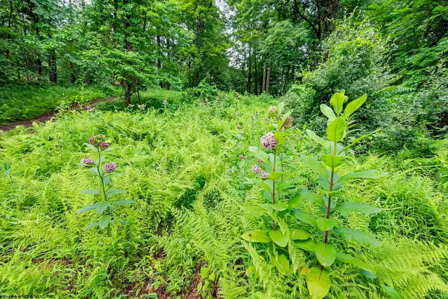 Lot 1 Burnt Cabin Road, Fairmont, WV 26554 - #3