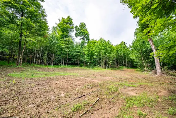 Lot 2 Burnt Cabin Road, Fairmont, WV 26554