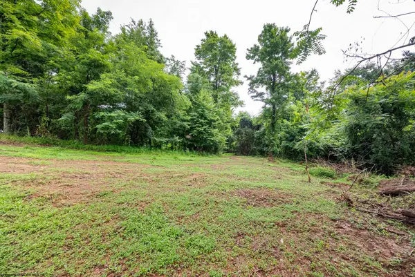 Lot 3 Burnt Cabin Road, Fairmont, WV 26554