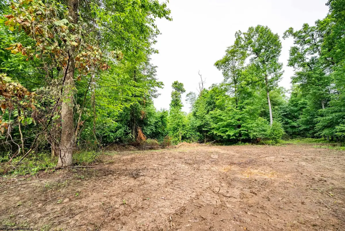 Lot 4 Burnt Cabin Road, Fairmont, WV 26554 - #1