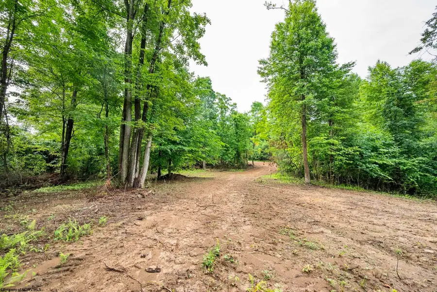 Lot 4 Burnt Cabin Road, Fairmont, WV 26554 - #2