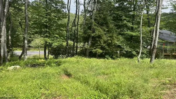 Lots 23-25 Blackwater Canyon Trail Road, Thomas, WV 26292