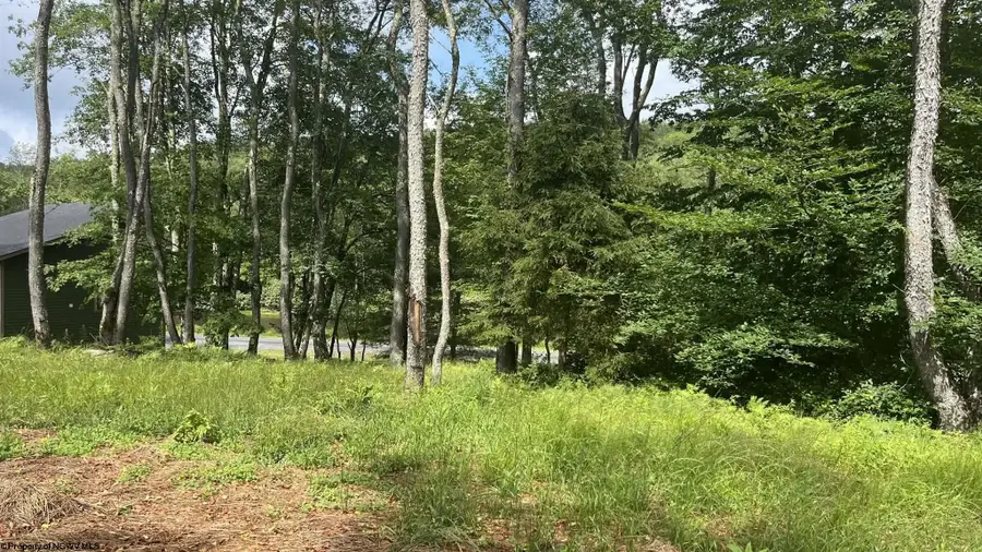 Lots 23-25 Blackwater Canyon Trail Road, Thomas, WV 26292 - #2