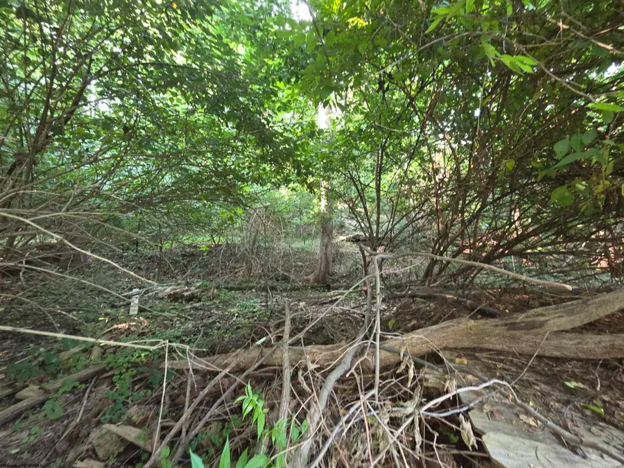 TBD Bartlow Street, Morgantown, WV 26505 - #3