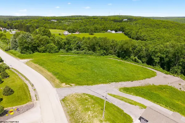 Lot 3 Laurel Run Pisgah Road, Bruceton Mills, WV 26525