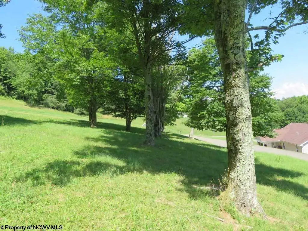 Tbd Doe Lane, Buckhannon, WV 26201 - #1
