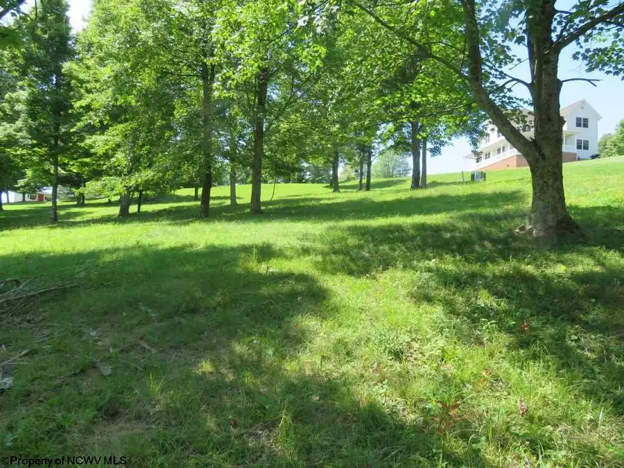 Tbd Doe Lane, Buckhannon, WV 26201 - #2
