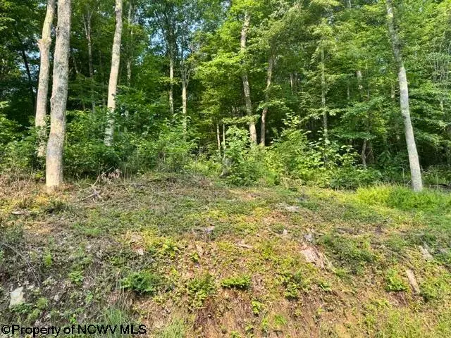 TBD Wildwood Lake, Morgantown, WV 26508 - #2