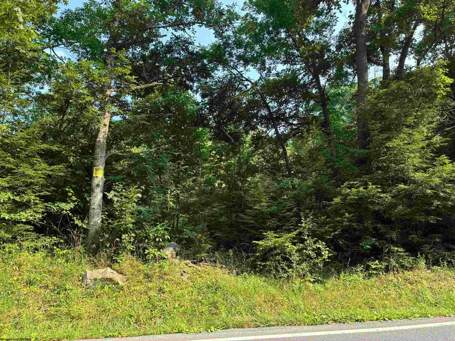 Lot B Woolen Mills Road, Albright, WV 26519 - #3