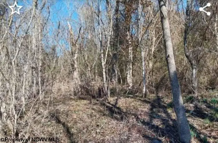 0 Coal River Road, Saint Albans, WV 25177 - #3
