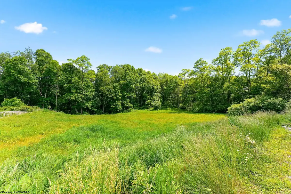 Lot 5 Laurel Run Pisgah Road, Bruceton Mills, WV 26525 - #1