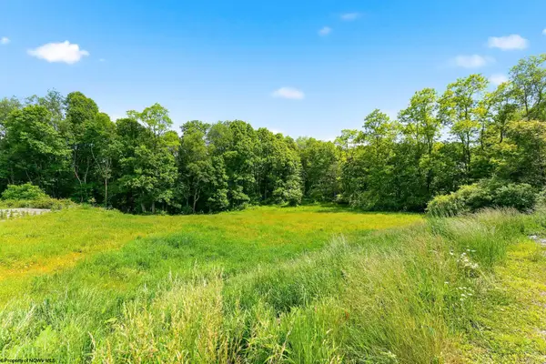 Lot 5 Laurel Run Pisgah Road, Bruceton Mills, WV 26525