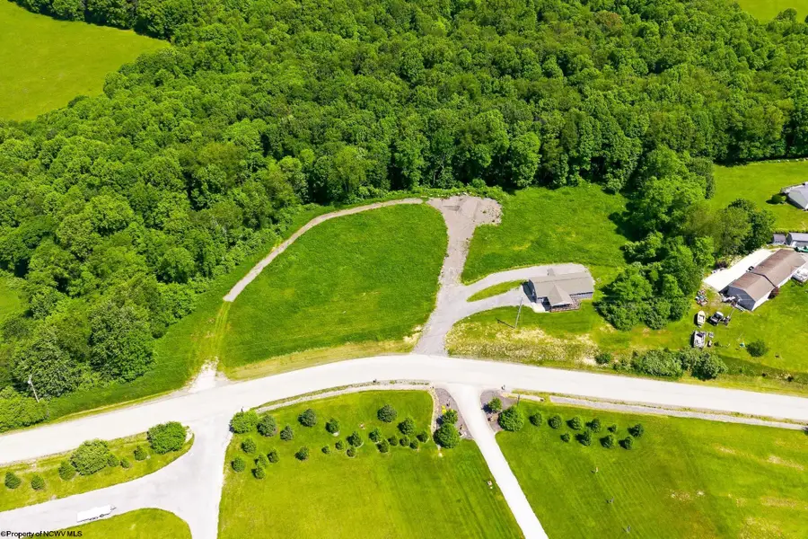 Lot 5 Laurel Run Pisgah Road, Bruceton Mills, WV 26525 - #2