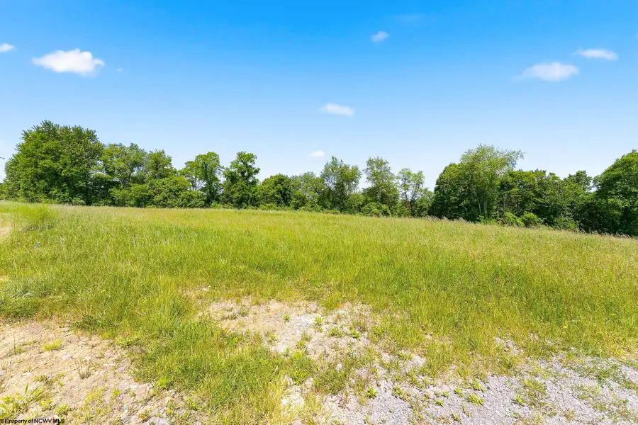 Lot 5 Laurel Run Pisgah Road, Bruceton Mills, WV 26525 - #3
