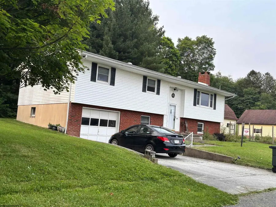222 Lee Street, Belington, WV 26250 - #3