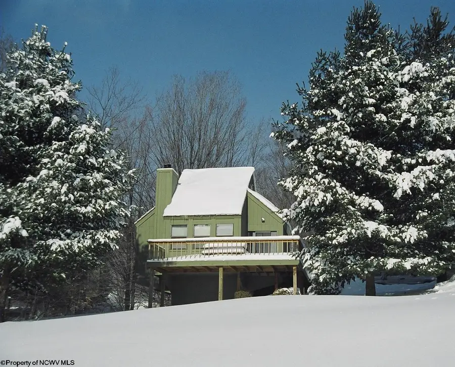 74 Lodge Drive, Davis, WV 26260 - #2
