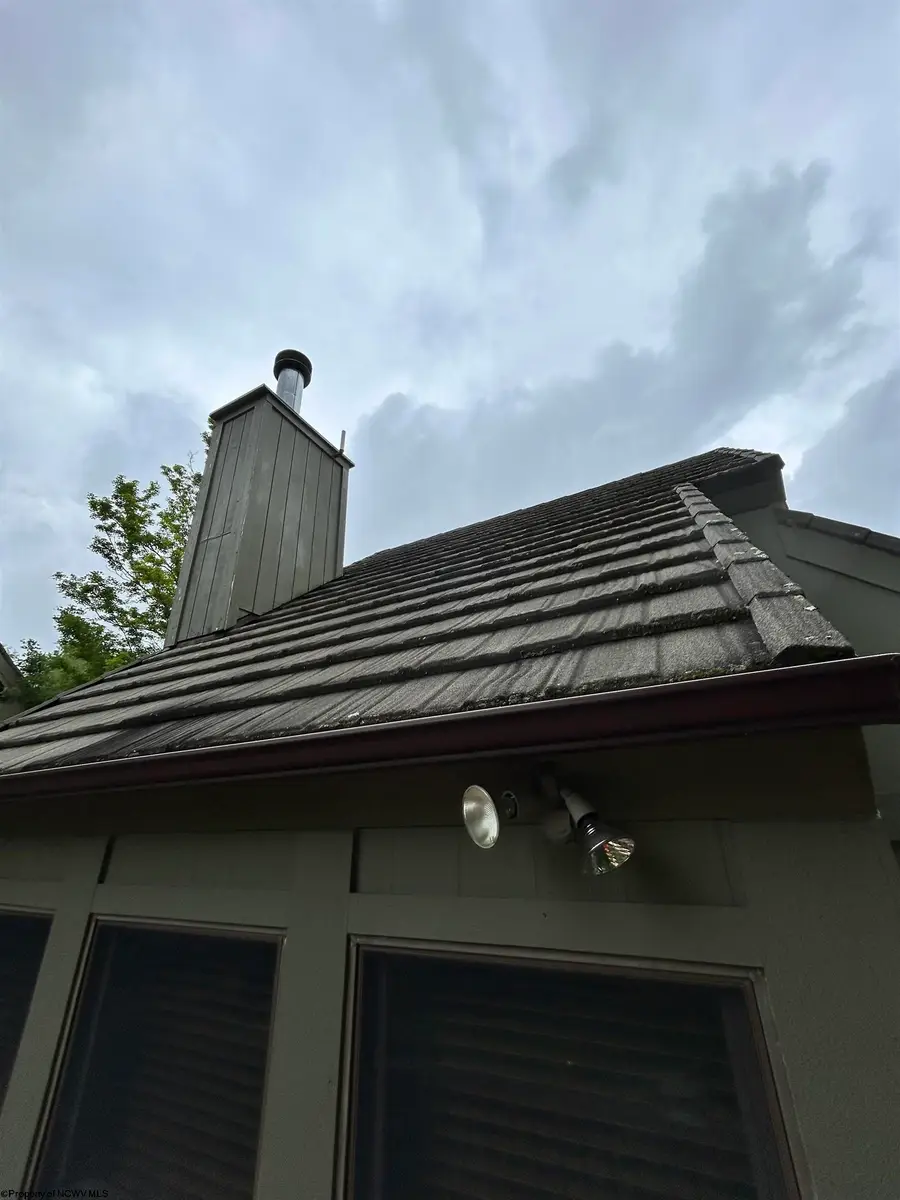 26 Whitetail Way, Davis, WV 26260 - #3